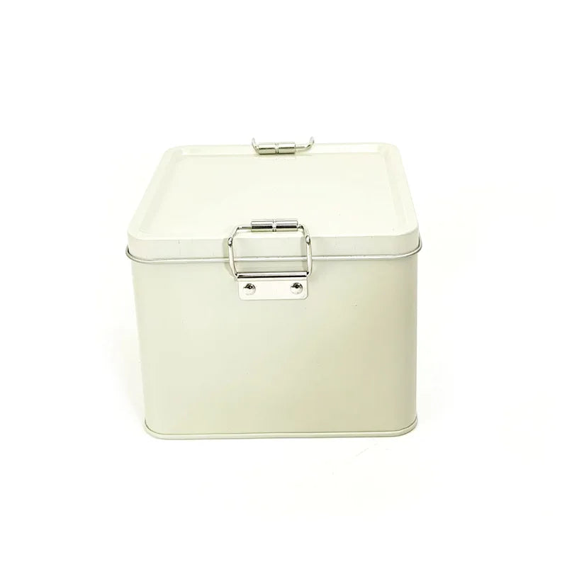 Square Multi-color Tinplate Box For Dessert And Snack Storage Moisture-proof Food Storage Box With Lid