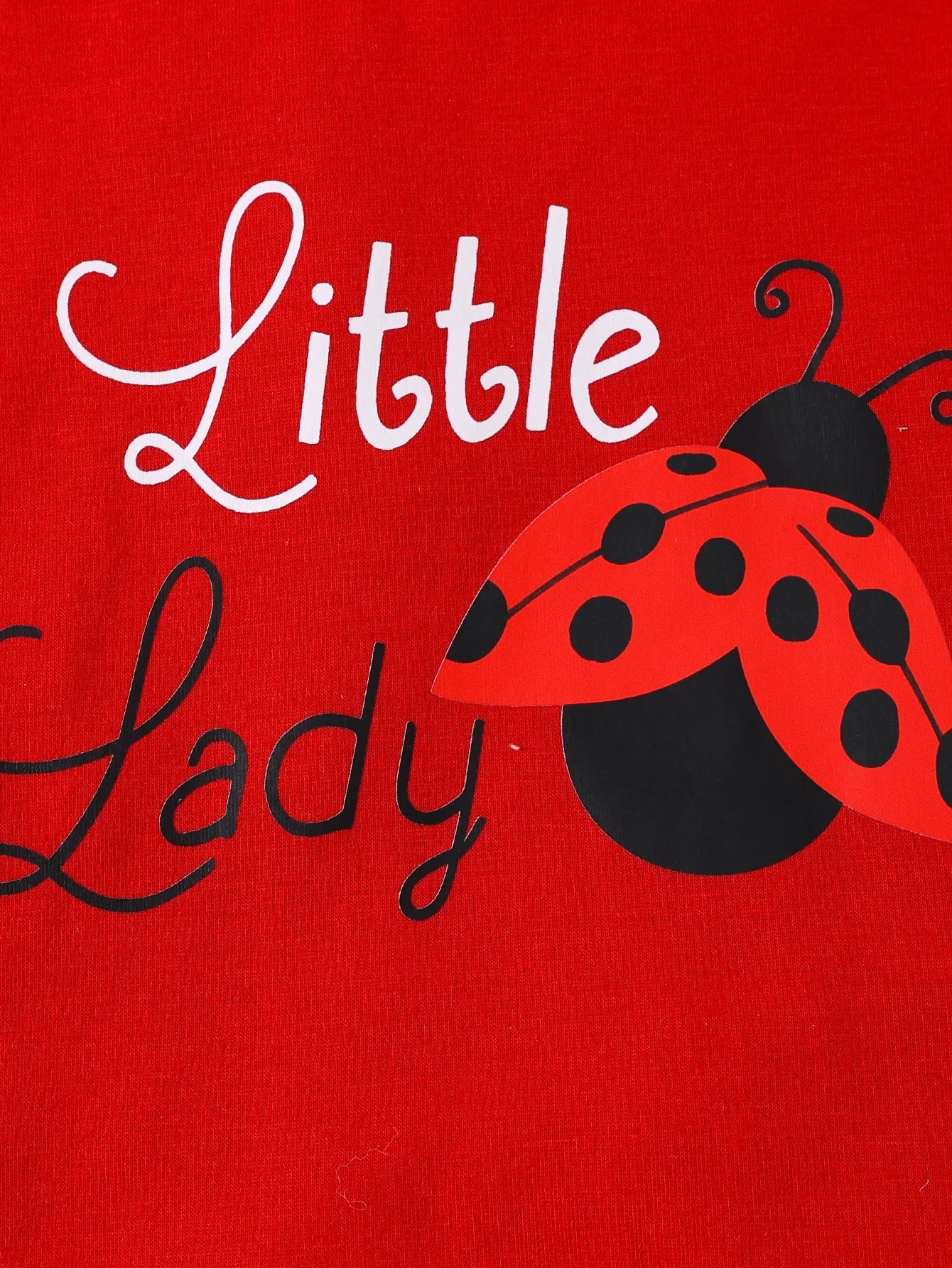 0-24M Infant Baby Girl Little Lady Ladybug Print Ruffle Short Sleeve Tee & Bowknot Shorts Outfit Set